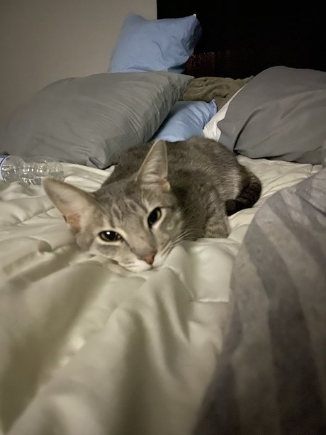 kenzi star perfect photo