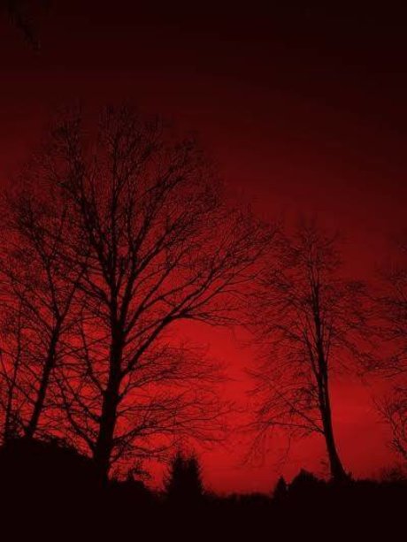 Exclusive K pornstar nude pic