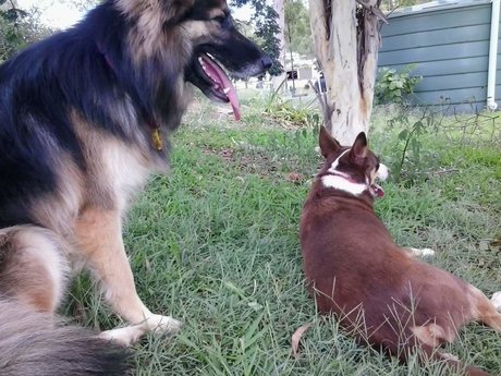 Kairu pornstar photos