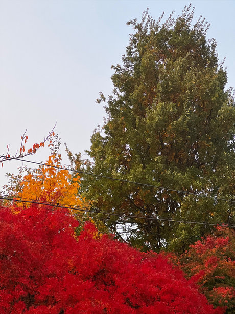 Storytime art pornstar pic