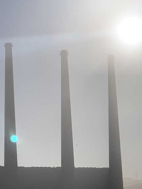 Raul Pacheco pornstar xxx pictures