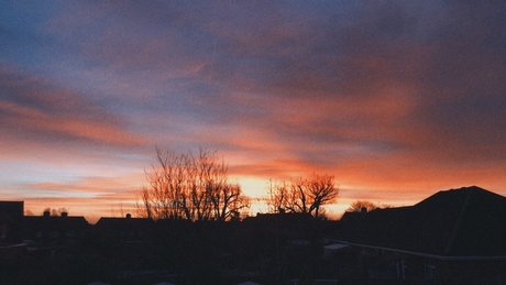 peter pan perfect pornstar archive