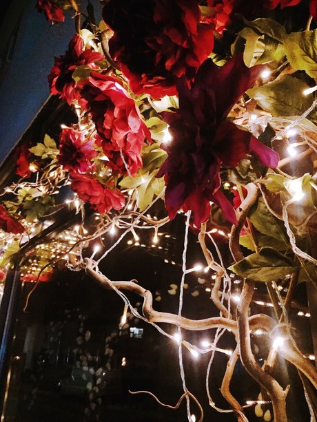 Raptor toes pornstar naked pictures