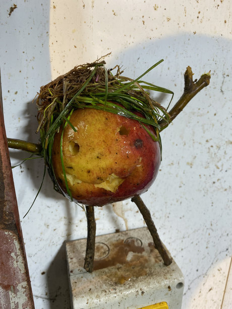 Rich Rowe erotic star pic