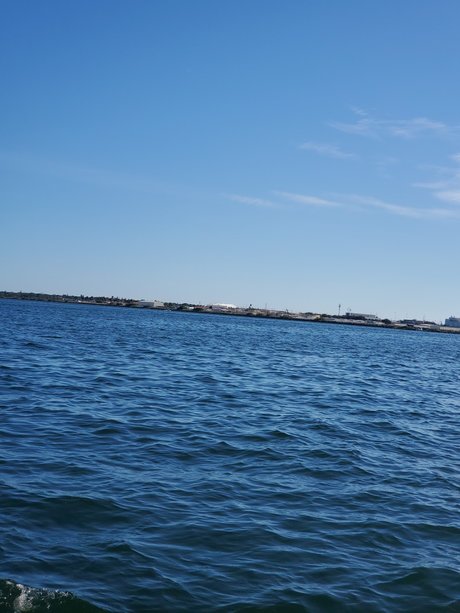 Bill that guy and oh my_ model perfect archive