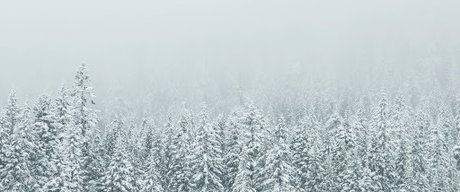 Anton Cash model porn gallery