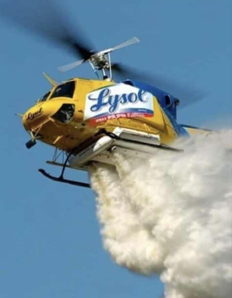 gakworld pretty pornstar pic