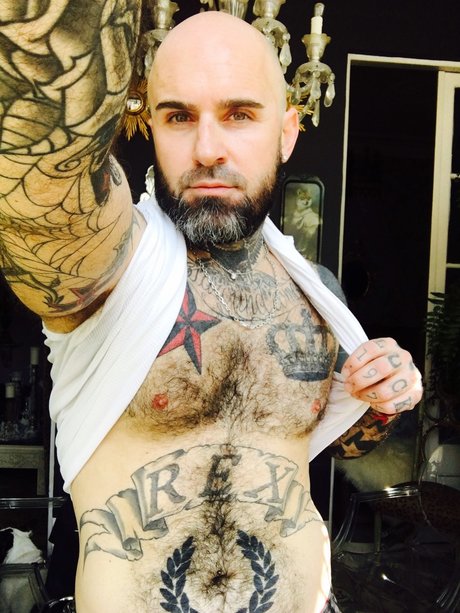 REX star nice gallery