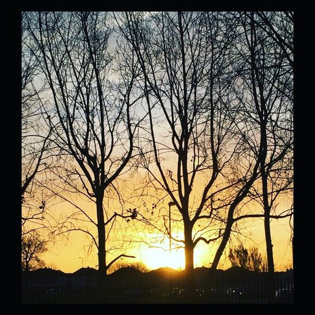 RevolutionBlues star exclusive photos