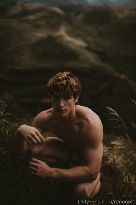 Reno Gold_ perfect star pic