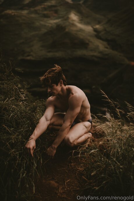 Reno Gold_ star hd photos