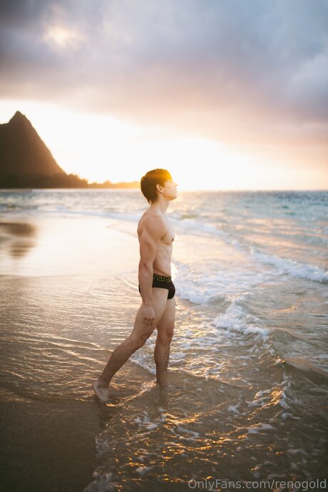 Reno Gold_ sex star pic