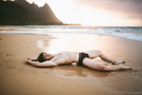 Reno Gold_ exclusive star gallery