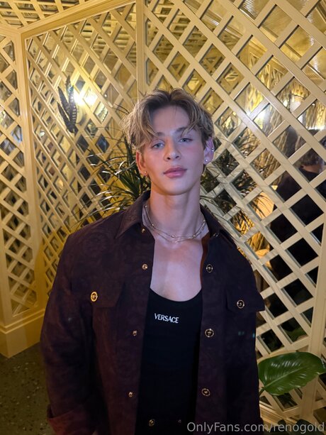 Reno Gold_ hd model image