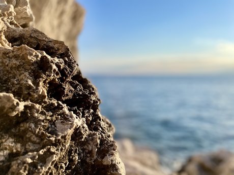 Remy Lecornec model perfect image