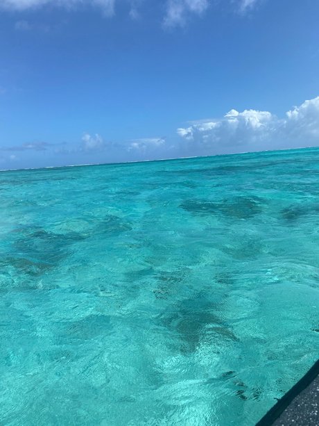 big cock trans onlyfans erotic images