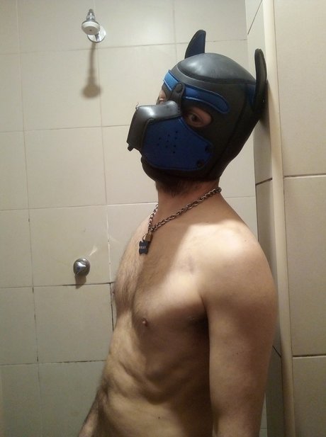 pup Regaleiro nice pornstar gallery