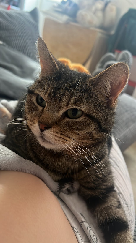 RedHairedKitten star porn galleries