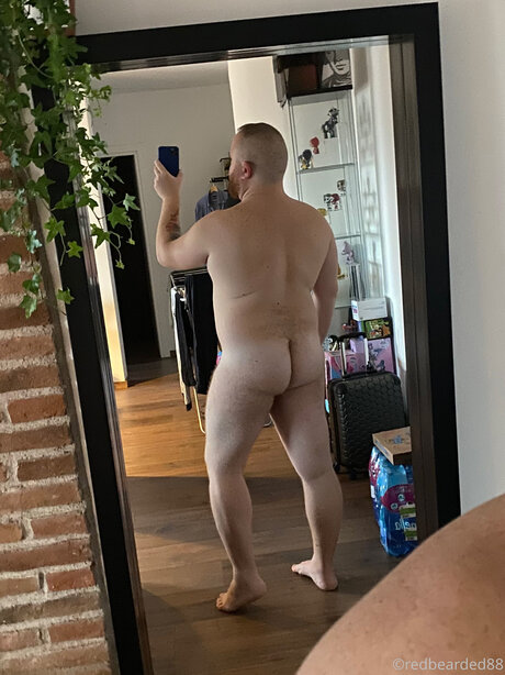 RedBearded top pornstar archive