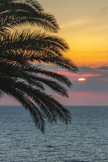 Princess Rea pornstar best photo