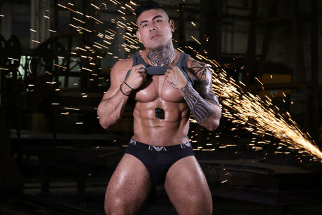 _TOP 0 37_ best star images