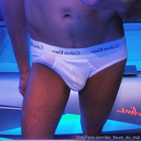 romantic amp amp kinky art star photo