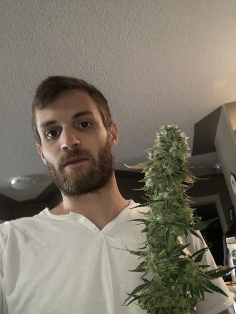 Rollin model nude pics