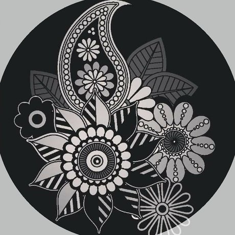 Roger Kirk Jr_ star photo