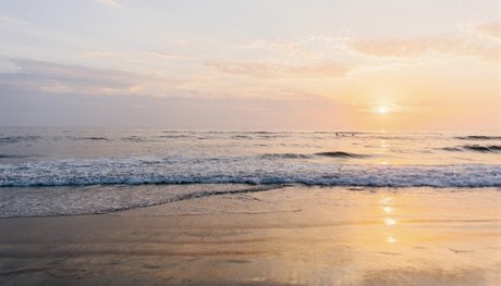 Robert f model art img