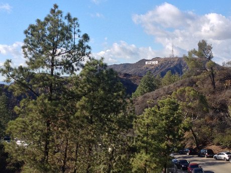 Robbie Yuma_ pornstar exclusive photo