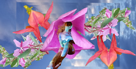 Sasha Roan star art pics