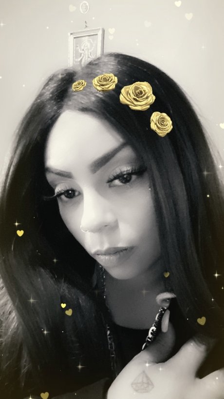 u10089331 nice star pics