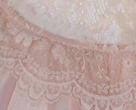 _River Lily_ free star archive