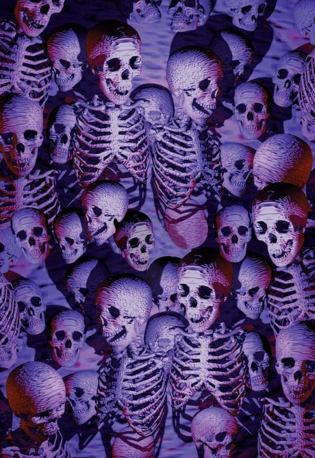 Ringmaster Sani perfect star picture