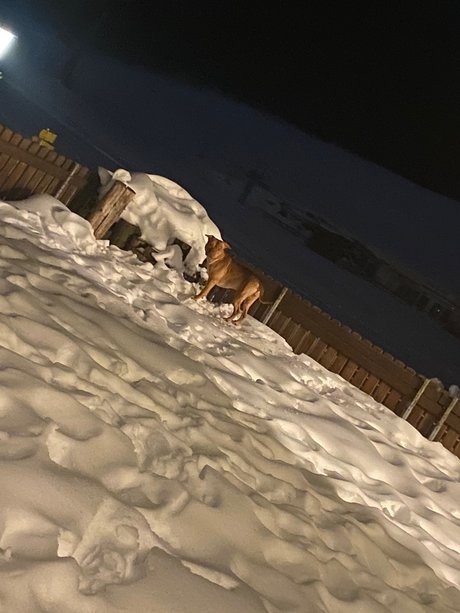 Riiim6 pornstar hd galleries