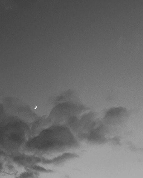 Andre Nikolai nude actress pictures