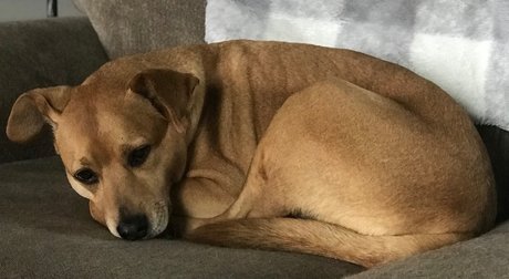 Eric Mel model top pic