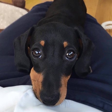 RICKY nudes star gallery