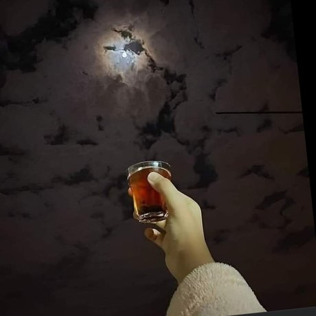 Gata star beautiful pictures