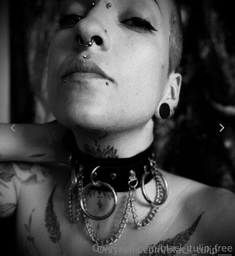 rubber tulip pornstar exclusive gallery