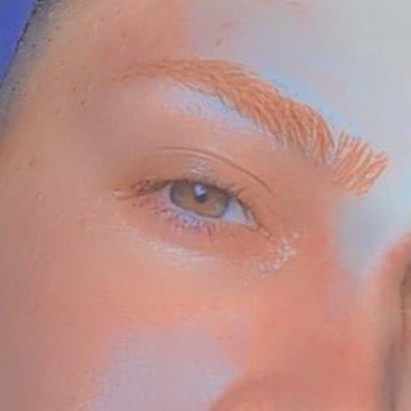 Rruivinhomg best model img