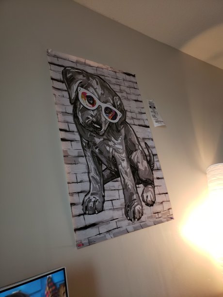 TacoPup free star images