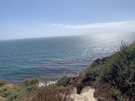 Ian Rios pornstar beautiful archive