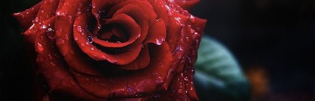 Tasha Vixen model erotic image