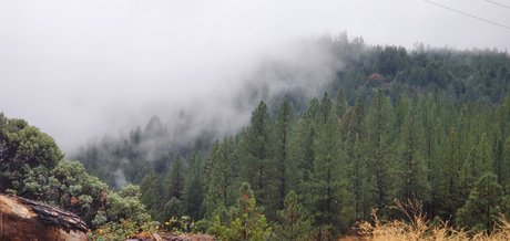 Rosey Thorns model hot picture