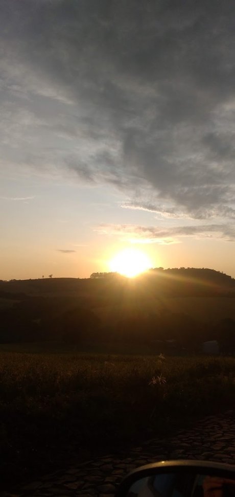 Rose veres star hd photos