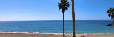 Rose Melle sex star img