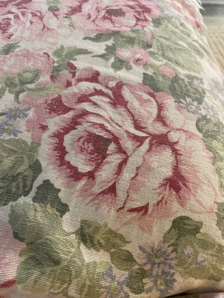 u18031372 top model image