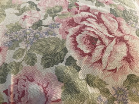 u18031372 exclusive actress img