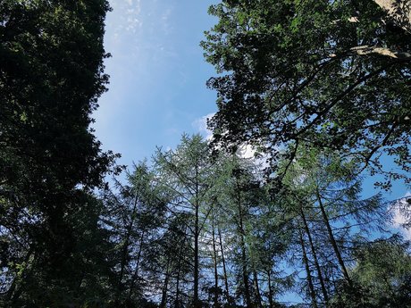 Samara_ high quality pornstar photo